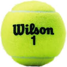 Wilson Championship Balls